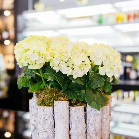 ホテル Western Le Moderne カーン