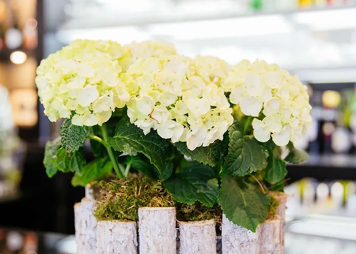 Hotel Western Le Moderne Caen