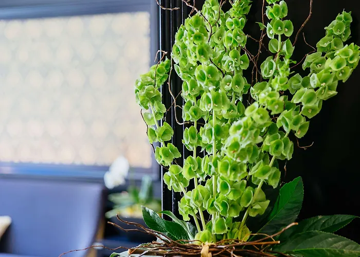 Western Le Moderne Caen